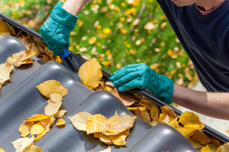 Home maintenance tips for fall